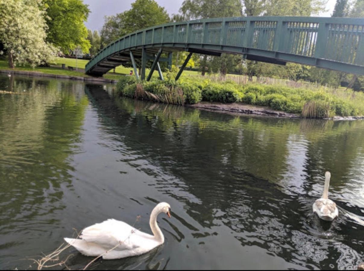 Beddington Park Lodge West Wallington Dış mekan fotoğraf