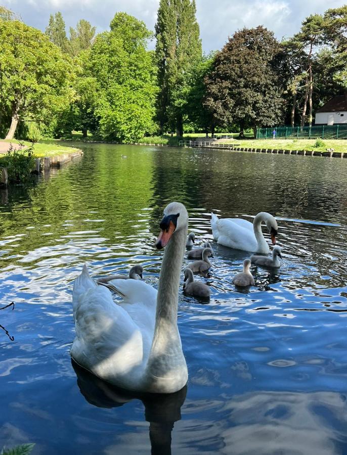 Beddington Park Lodge West Wallington Dış mekan fotoğraf