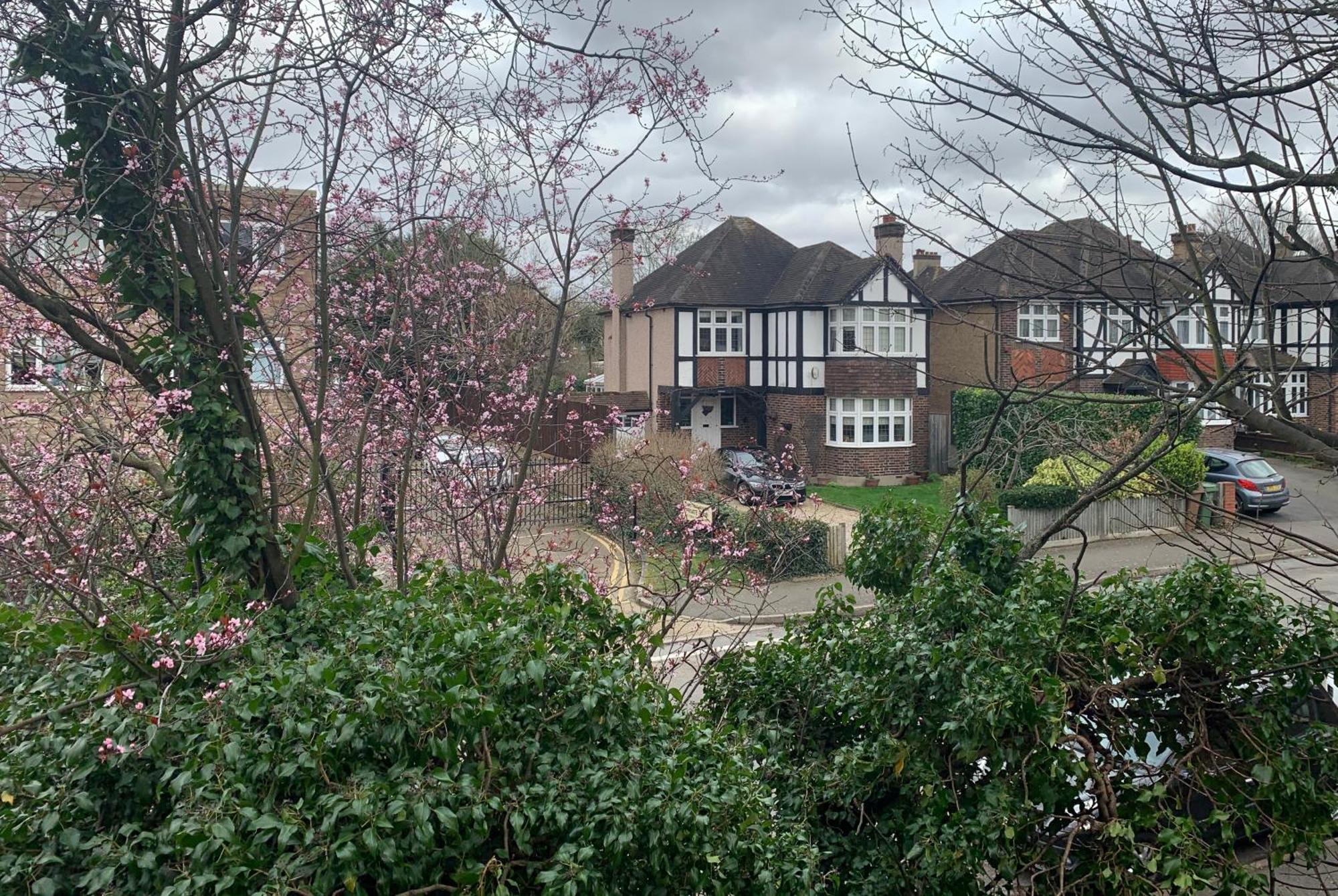 Beddington Park Lodge West Wallington Dış mekan fotoğraf